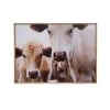 Cow Photography Wood Framed Wall Decor