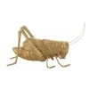 Creative Co-Op Gold Resin Cricket