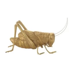 Creative Co-Op Gold Resin Cricket