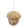 JuJube Bark Acorn Ornament, 5.5"