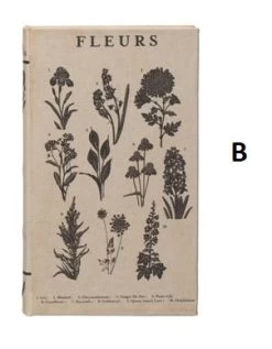 Canvas Book Storage Box “Garden Studies Prints", 2 Size/Style Options -Creative Co-op Sales Store df4805a b